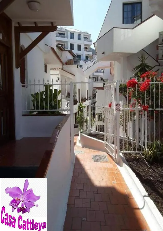 Casa Cattleya Apartamento Los Cristianos  Los Cristianos (Tenerife)