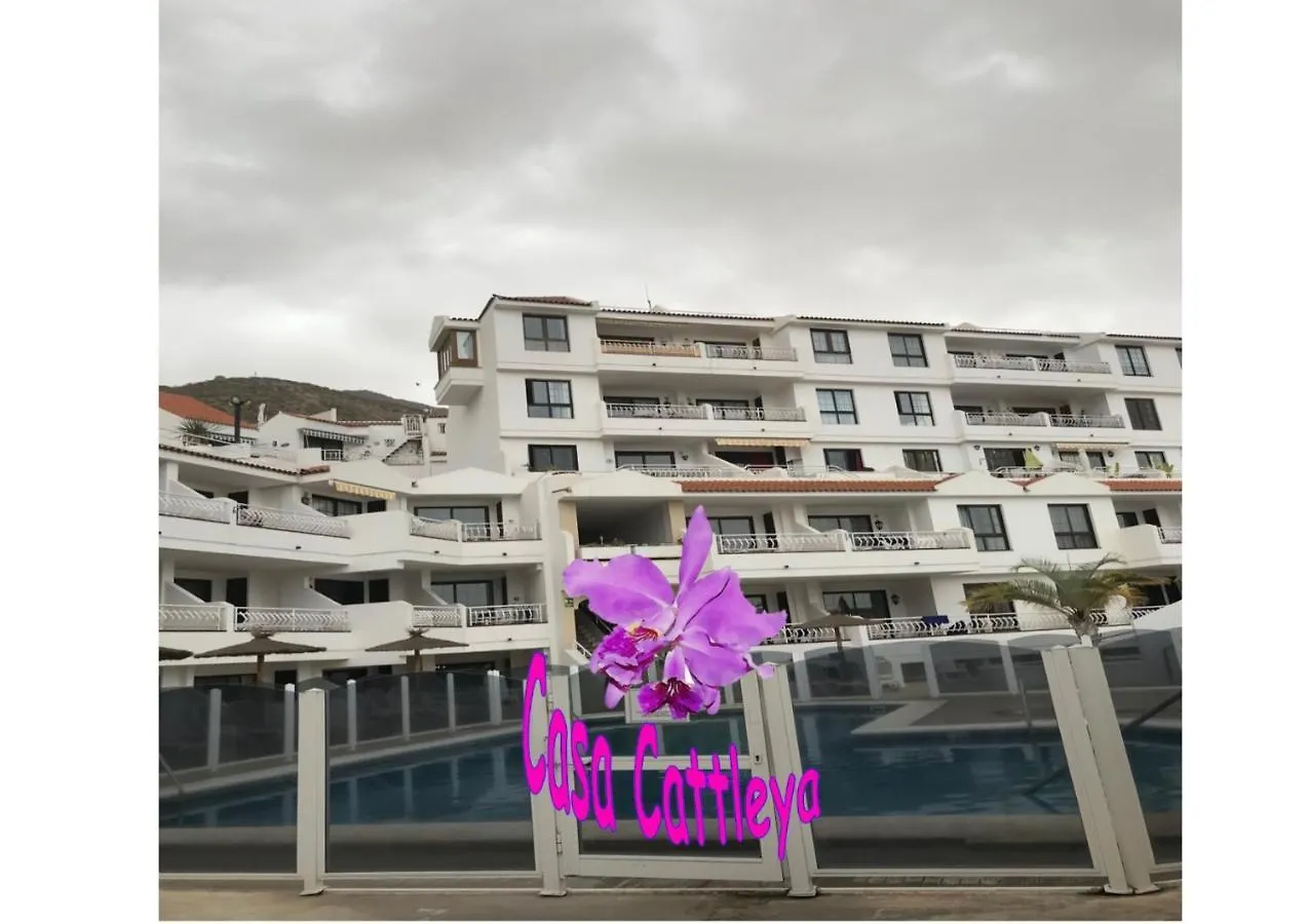 Casa Cattleya Apartamento Los Cristianos  España