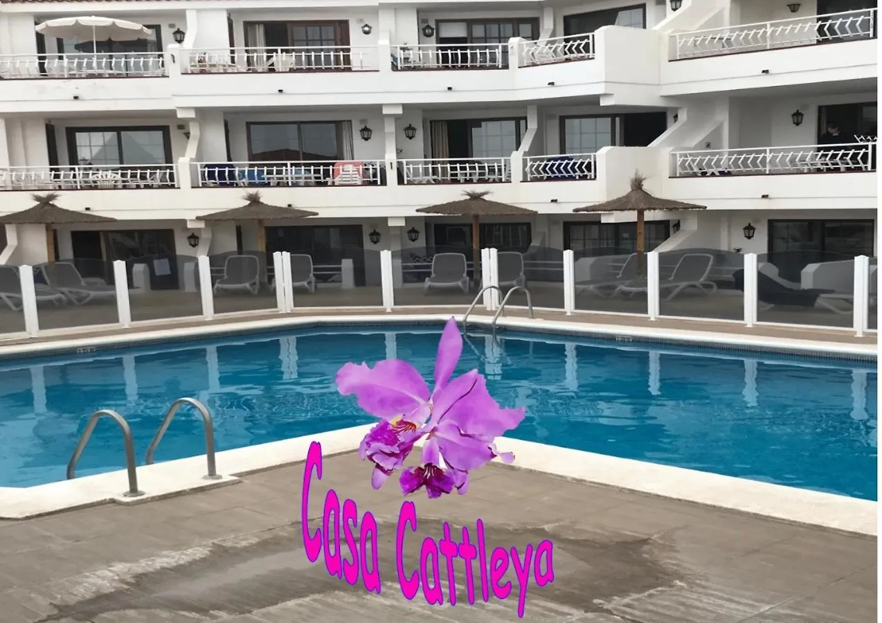 Casa Cattleya Apartment Los Cristianos   Los Cristianos (Tenerife)